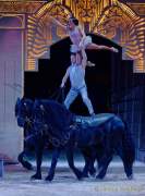 d190321-111927-710-100-circus_krone-mandana-pk