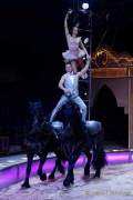 d190321-111930-450-100-circus_krone-mandana-pk