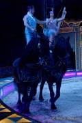 d190321-111959-770-100-circus_krone-mandana-pk