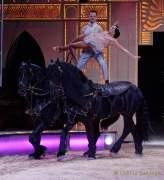 d190321-112039-960-100-circus_krone-mandana-pk