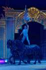 d190321-112107-070-100-circus_krone-mandana-pk