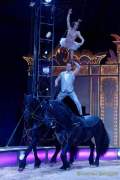 d190321-112108-790-100-circus_krone-mandana-pk