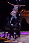 d190321-112138-840-100-circus_krone-mandana-pk