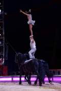 d190321-112239-050-100-circus_krone-mandana-pk