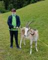 d200629-114213-300-100-krone_farm-presse_rundgang d200629-114213-300-100-krone_farm-presse_rundgang