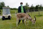 d200629-114415-800-100-krone_farm-presse_rundgang d200629-114415-800-100-krone_farm-presse_rundgang