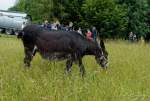 d200629-120913-500-100-krone_farm-presse_rundgang d200629-120913-500-100-krone_farm-presse_rundgang