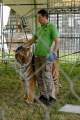 d200629-121738-400-100-krone_farm-presse_rundgang d200629-121738-400-100-krone_farm-presse_rundgang