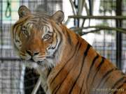 d200629-121913-000-100-krone_farm-presse_rundgang