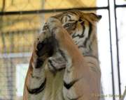 d200629-122139-000-100-krone_farm-presse_rundgang