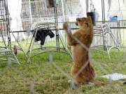 d200629-122607-900-100-krone_farm-presse_rundgang