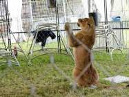 d200629-122607-900-100-krone_farm-presse_rundgang