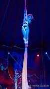 d171007-202638-300-100-roncalli-jubilaeumsshow