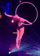 d171007-203305-800-100-roncalli-jubilaeumsshow