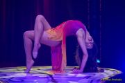 Roncalli 2025 - ARTistART - Premiere - Show