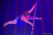 Roncalli 2025 - ARTistART - Premiere - Show