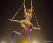 Roncalli 2025 - ARTistART - Premiere - Show