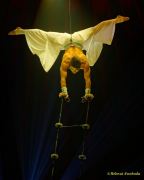 Roncalli 2025 - ARTistART - Premiere - Show