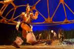 d200212-193942-570-100-cirque_du_soleil-totem