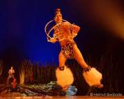 d200212-194035-940-100-cirque_du_soleil-totem