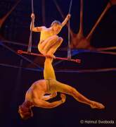 d200212-210030-100-100-cirque_du_soleil-totem d200212-210030-100-100-cirque_du_soleil-totem