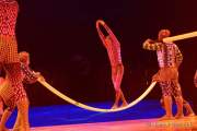 d200212-213246-160-100-cirque_du_soleil-totem