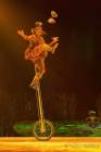 d200212-195411-050-100-cirque_du_soleil-totem