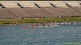 d150828-17441680-100-deutsche_kanurennsport-meisterschaften