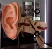 Das neue Deutsche Museum mit neuen Ausstellungen