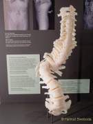 Das neue Deutsche Museum mit neuen Ausstellungen