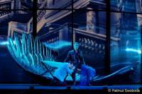 d150325-15584580-100-elisabeth-das_musical