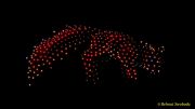 DroneArt Show 2026 auf der Galopprennbahn München Riem