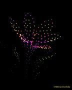 DroneArt Show 2026 auf der Galopprennbahn München Riem DroneArt Show 2026 auf der Galopprennbahn München Riem