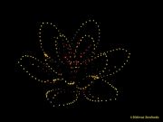 DroneArt Show 2026 auf der Galopprennbahn München Riem DroneArt Show 2026 auf der Galopprennbahn München Riem