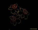 DroneArt Show 2026 auf der Galopprennbahn München Riem