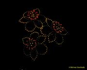 DroneArt Show 2026 auf der Galopprennbahn München Riem