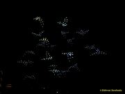 DroneArt Show 2026 auf der Galopprennbahn München Riem