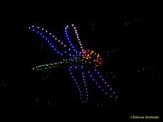 DroneArt Show 2026 auf der Galopprennbahn München Riem