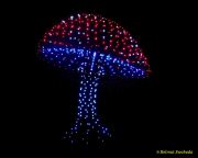 DroneArt Show 2026 auf der Galopprennbahn München Riem DroneArt Show 2026 auf der Galopprennbahn München Riem