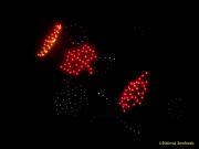 DroneArt Show 2026 auf der Galopprennbahn München Riem DroneArt Show 2026 auf der Galopprennbahn München Riem