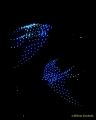 DroneArt Show 2026 auf der Galopprennbahn München Riem
