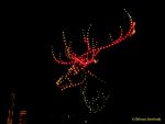 DroneArt Show 2026 auf der Galopprennbahn München Riem