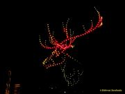 DroneArt Show 2026 auf der Galopprennbahn München Riem