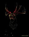 DroneArt Show 2026 auf der Galopprennbahn München Riem