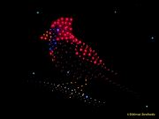 DroneArt Show 2026 auf der Galopprennbahn München Riem