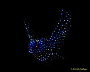 DroneArt Show 2026 auf der Galopprennbahn München Riem