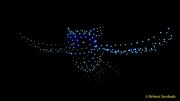 DroneArt Show 2026 auf der Galopprennbahn München Riem DroneArt Show 2026 auf der Galopprennbahn München Riem