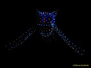 DroneArt Show 2026 auf der Galopprennbahn München Riem