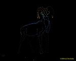 DroneArt Show 2026 auf der Galopprennbahn München Riem