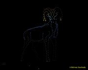 DroneArt Show 2026 auf der Galopprennbahn München Riem